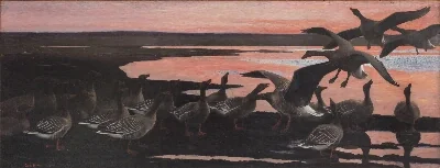 Wild Geese