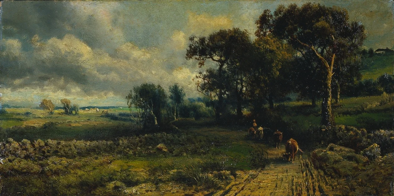 Fleecy Clouds