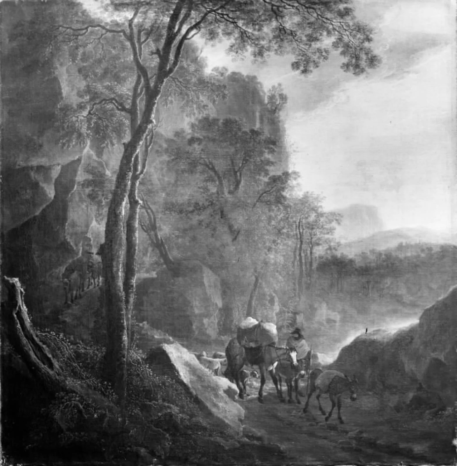 Southern Landscape