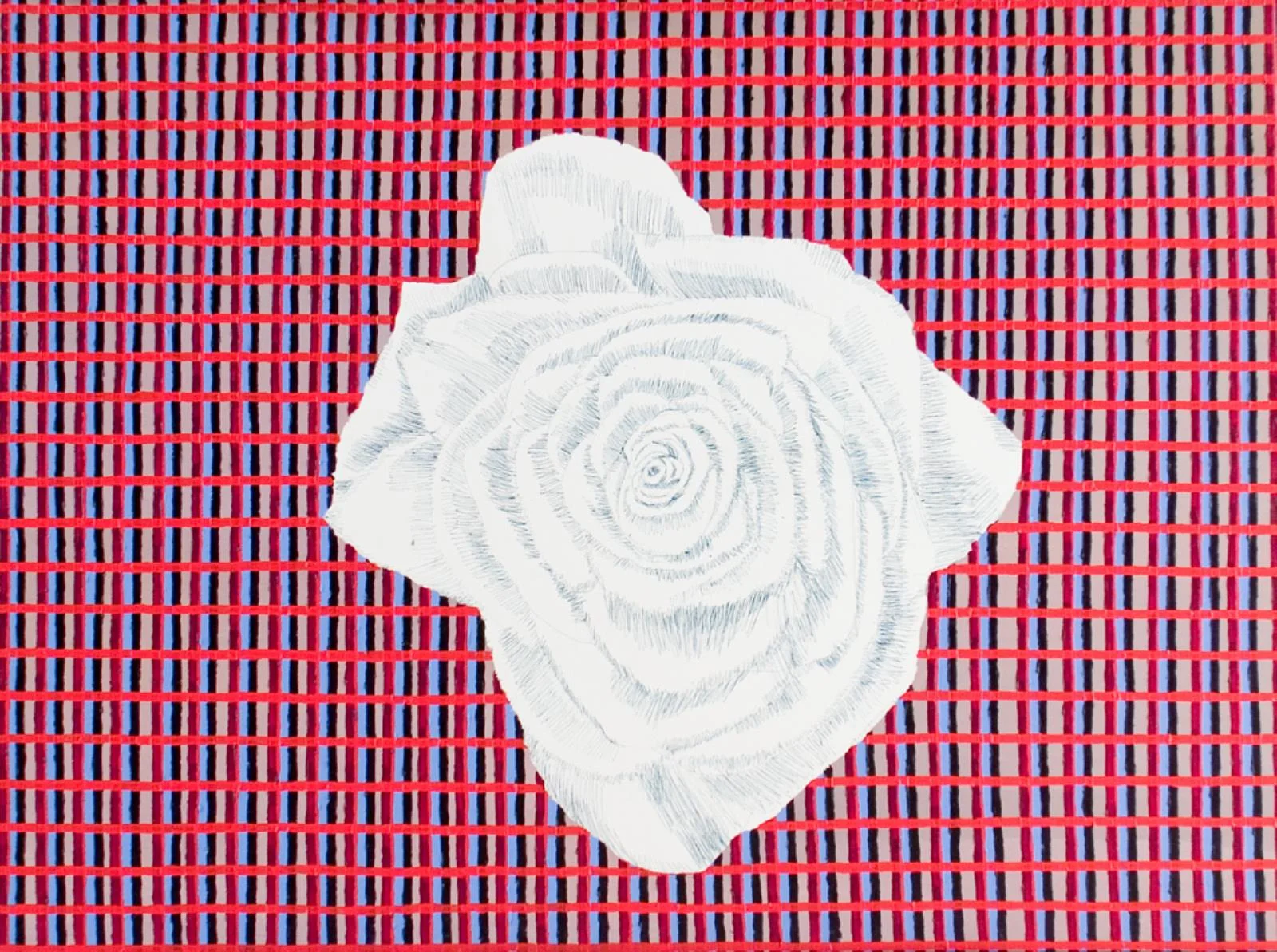 Rose on a Chequered Background