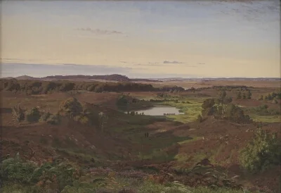 Landscape in the North of Zealand. Afternoon