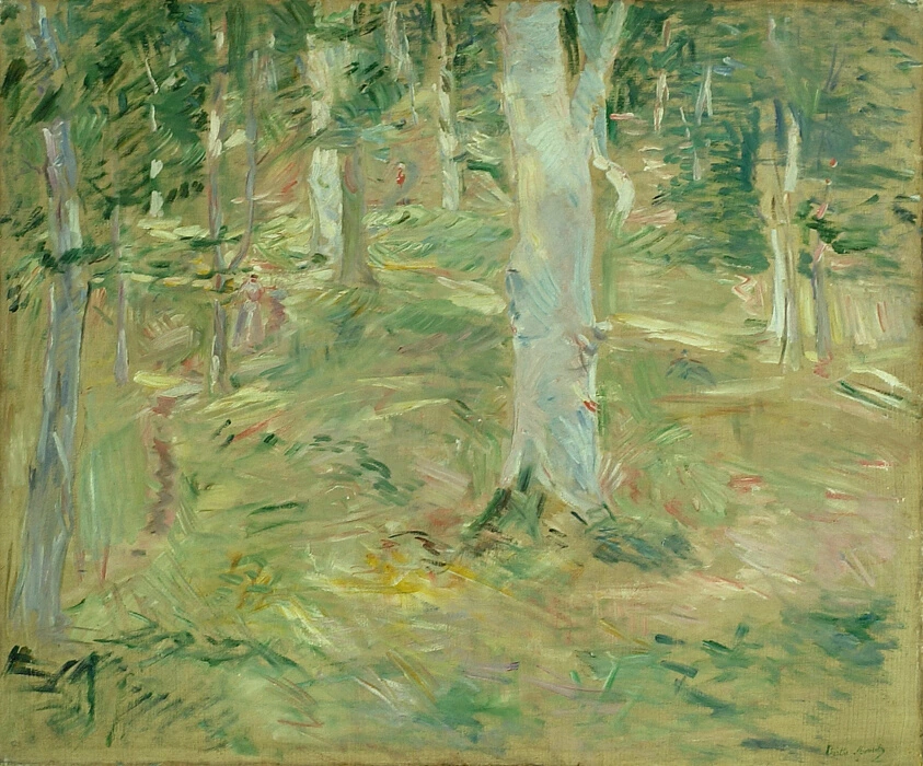 Forêt de Compiègne