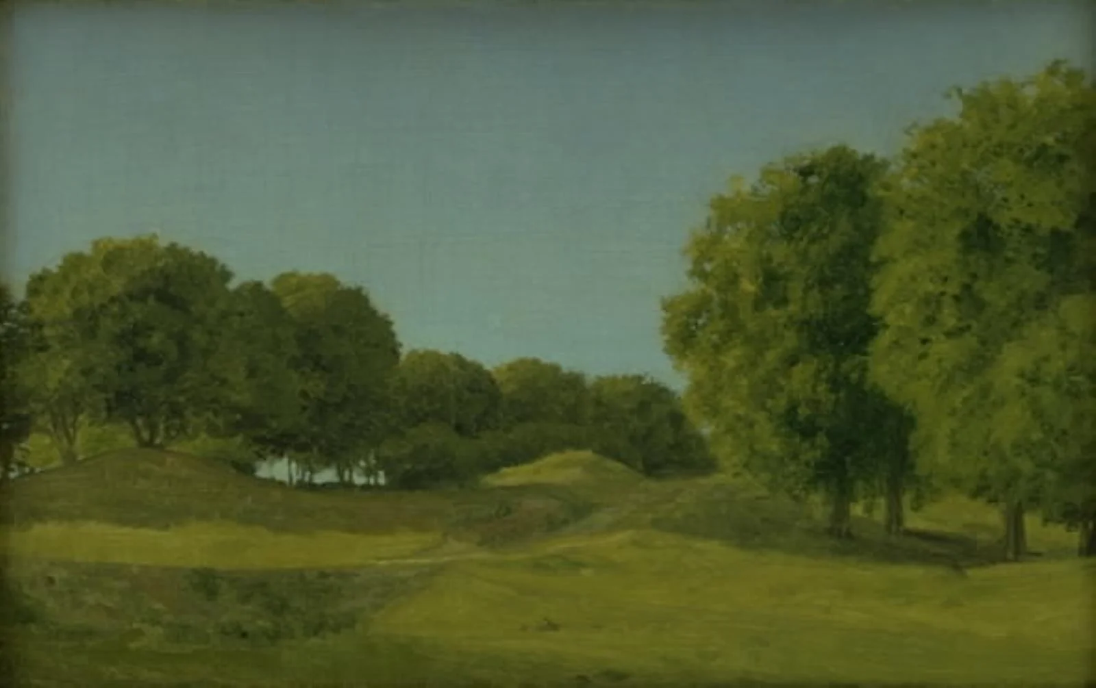 Study from the Deerpark near Copenhagen
