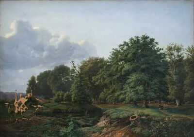 A Forrest near Hellebæk in the North of Zealand. Afternoon.