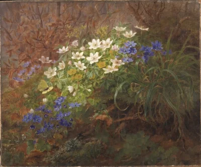 Anemoner