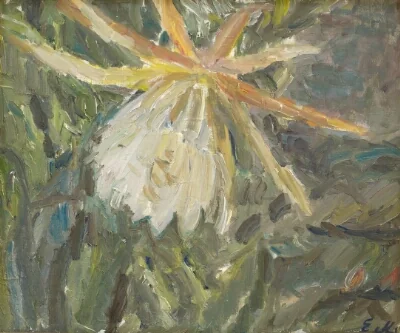 Flowering Cactus
