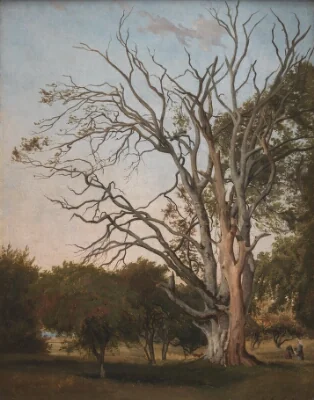 Woodland Scene with a Dead Tree