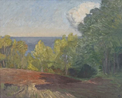 The Edge of a Forest. A Clear September Day