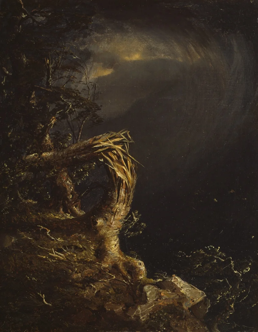 Blasted Tree