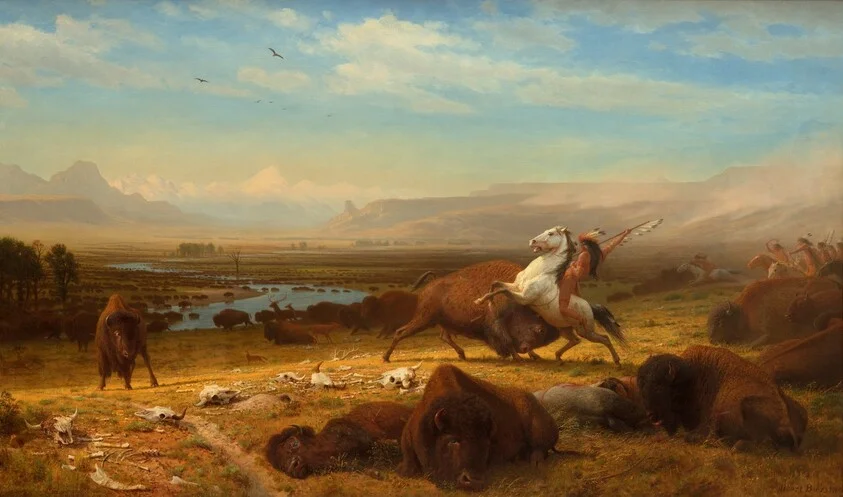 The Last of the Buffalo
