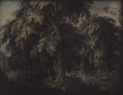 Wooded Landscape