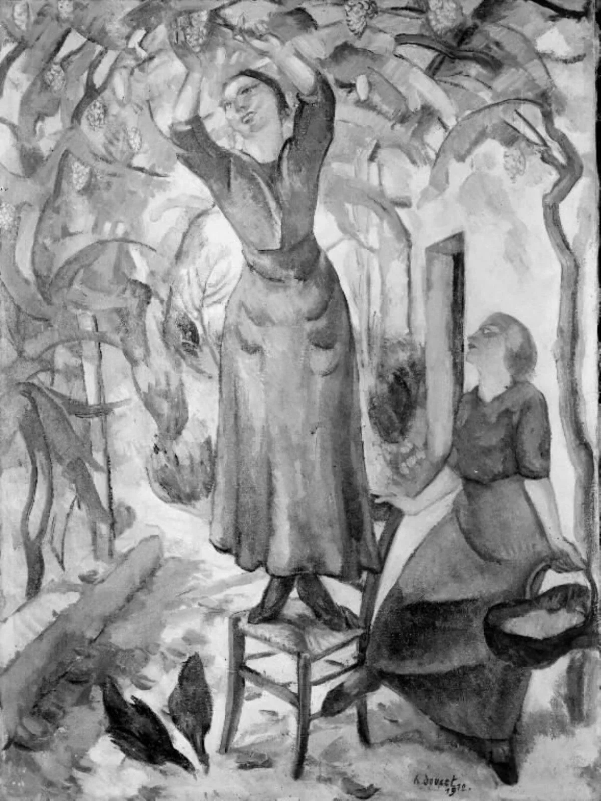 Grape Picking
