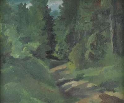 Præstevejen in Grib Forest. July