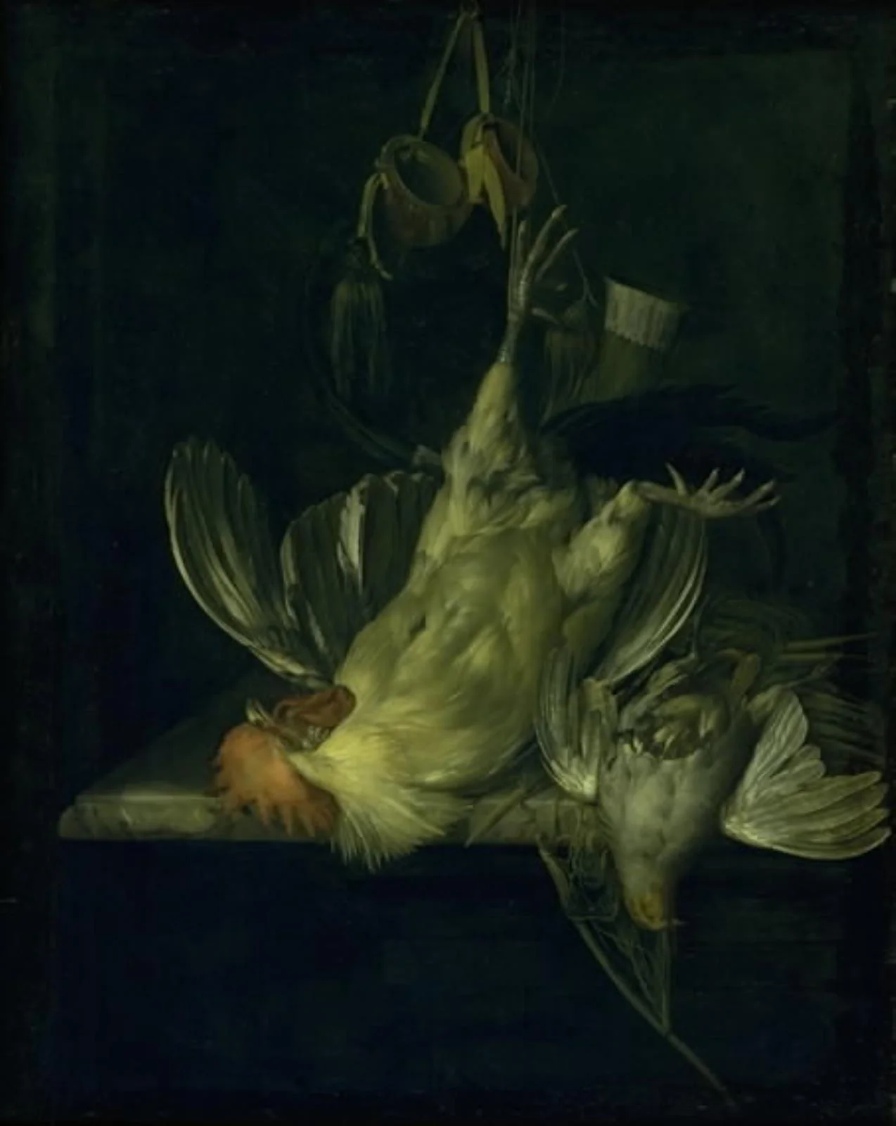 A Dead White Cock