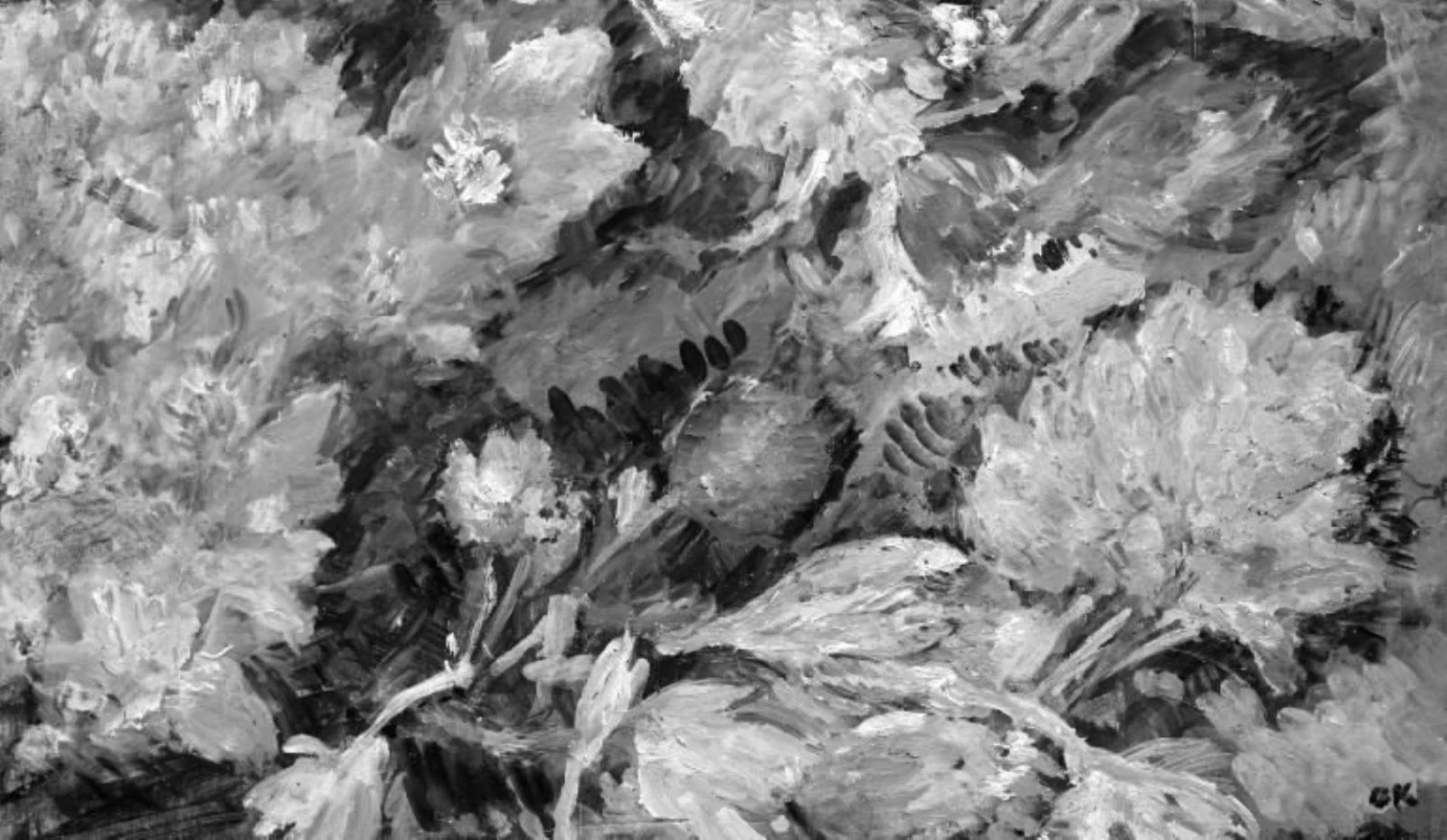 Flowering Colchium, Dageløkke