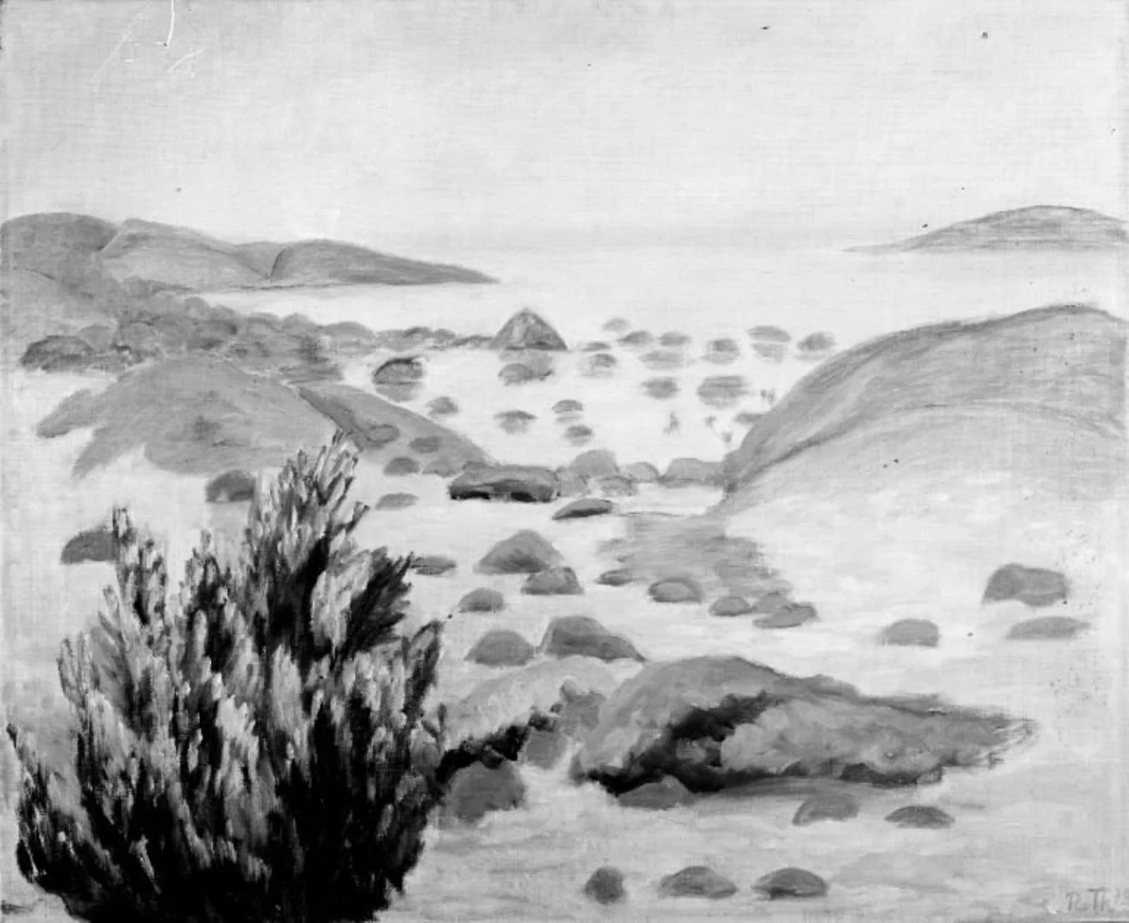 From Ørekroken - Whales