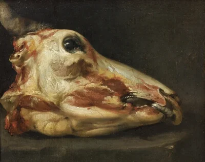 Skinned Head of an Ox