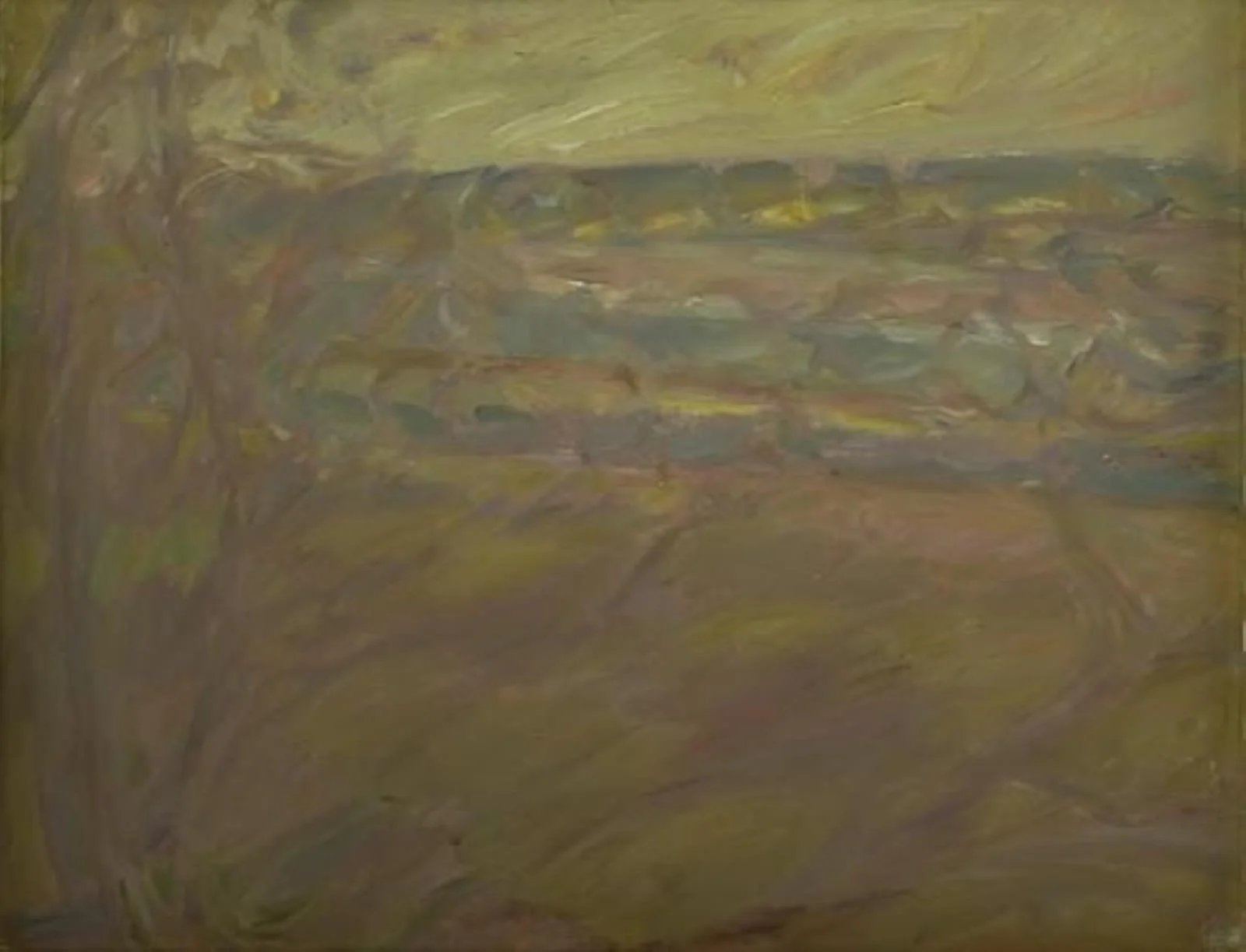 Spring Fields