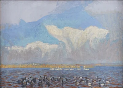 Blishøns, troldænder og svaner. Bygevejr