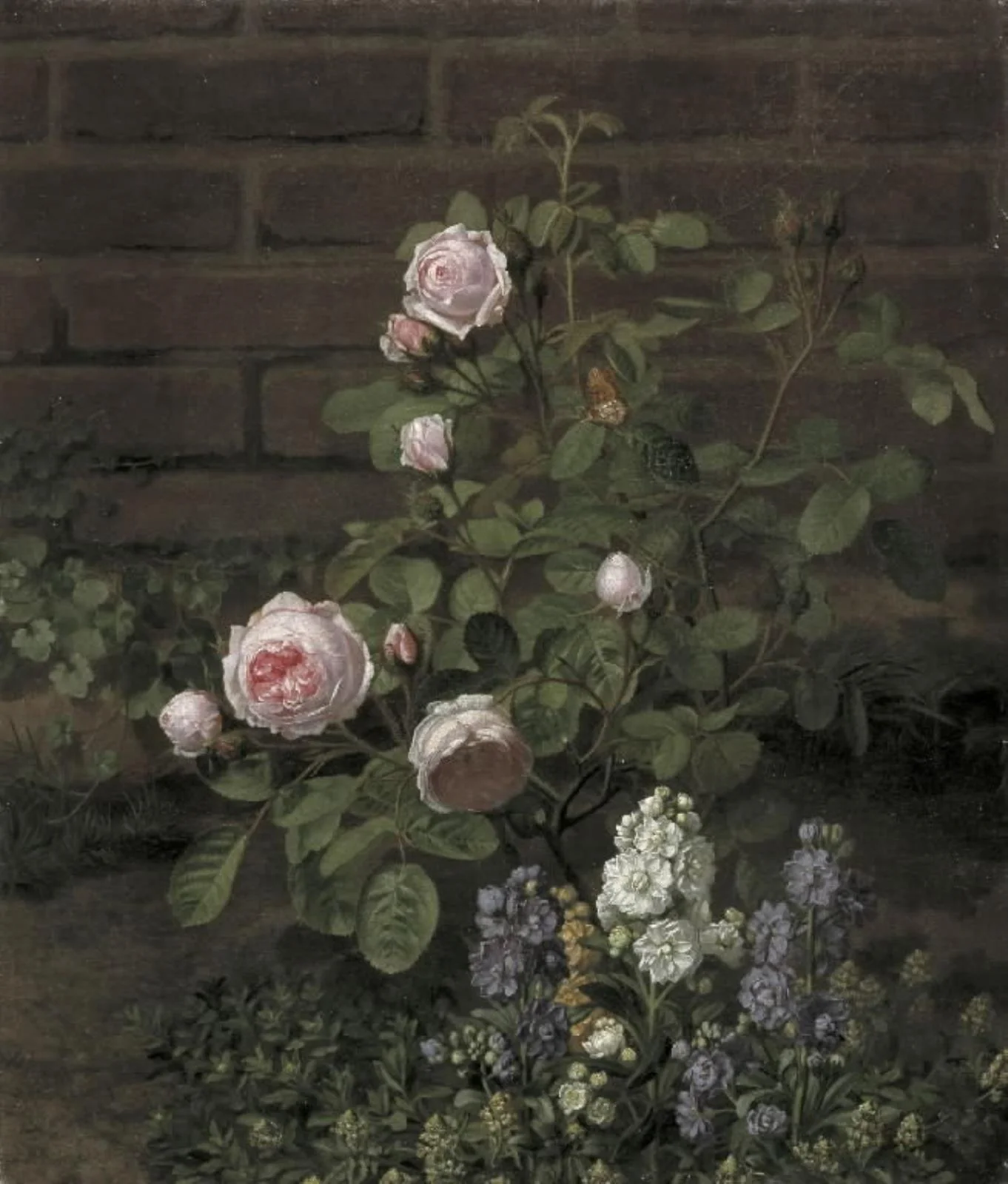 A Moss Rose Tree Sourrounded by Summer Flowers