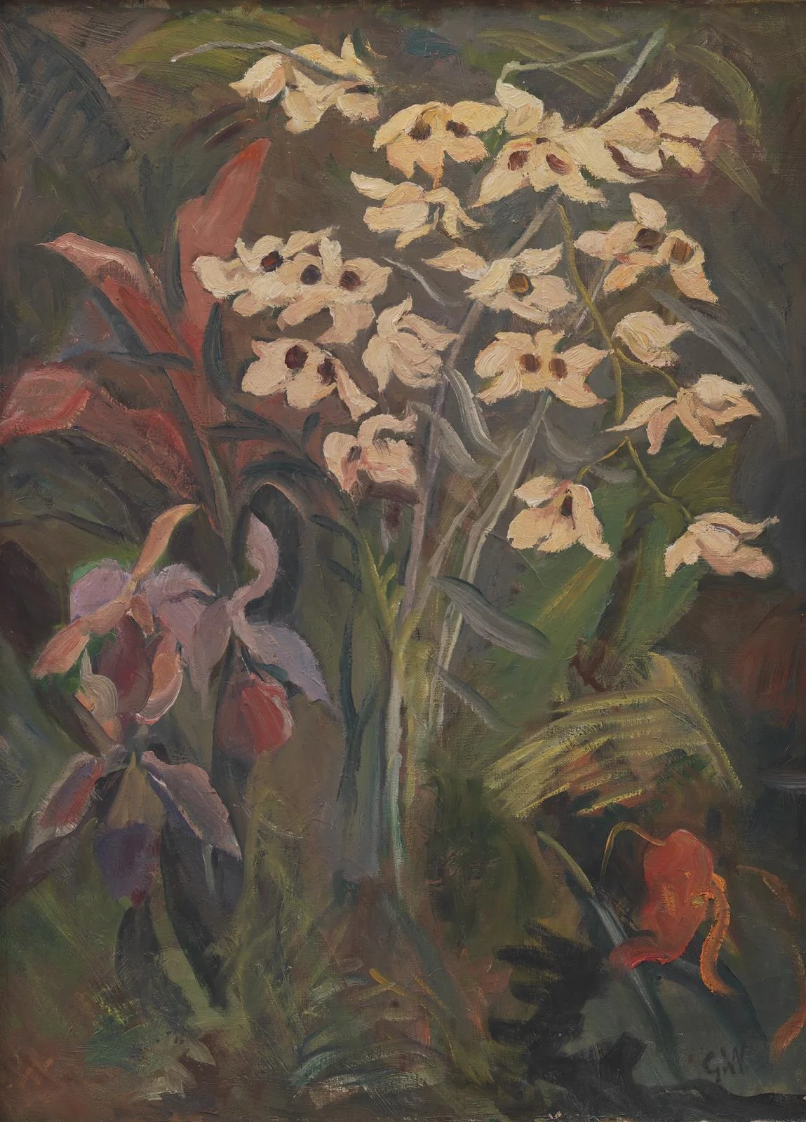 Flower Picture. Orchids from the Horticultural Society