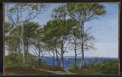 View Through Beech Trees Across a Fiord